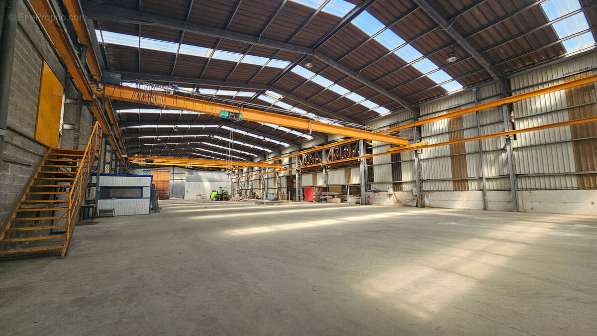 Commerce à LA FORET-FOUESNANT