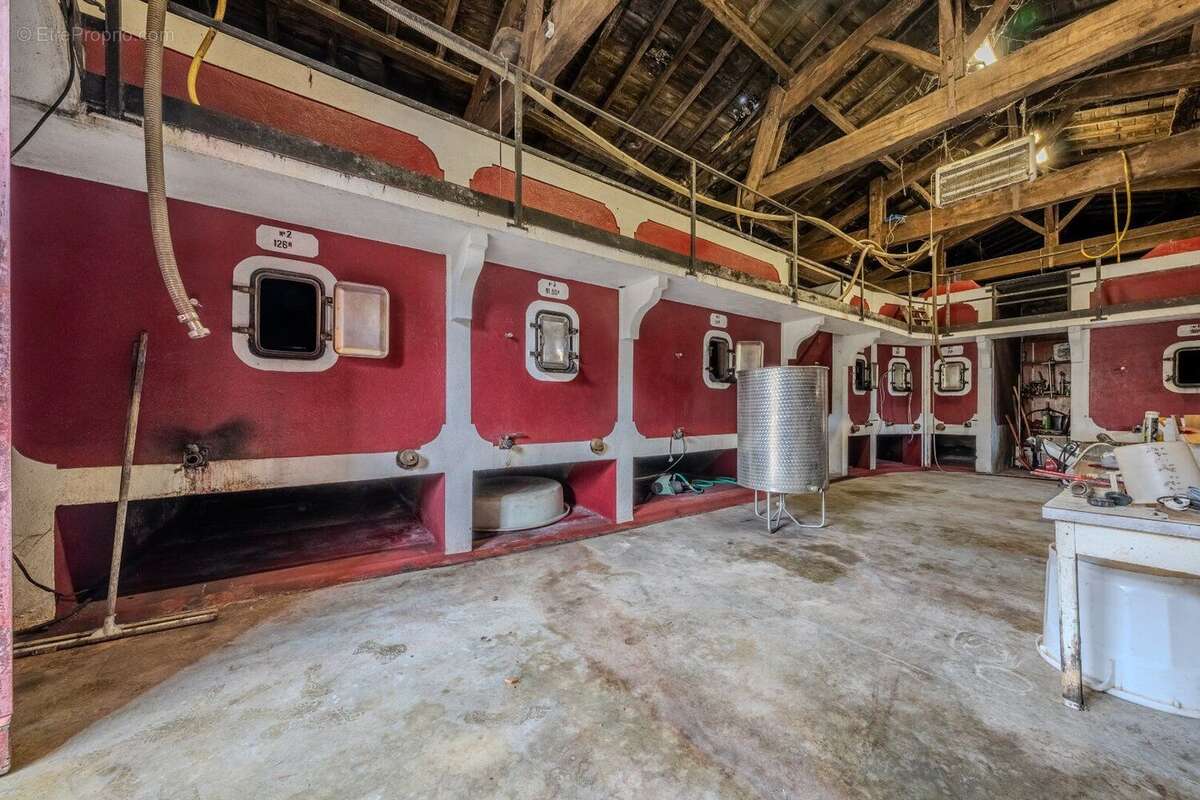 Élégance et héritage un château d'exception au coeur d'un vignoble classé - photo 6