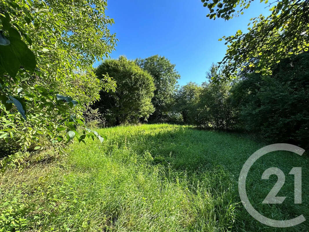 Terrain à PRECY-SAINT-MARTIN