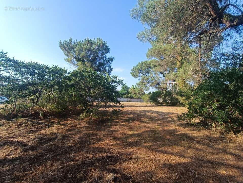Terrain 950 m² à Martillac  - photo 3