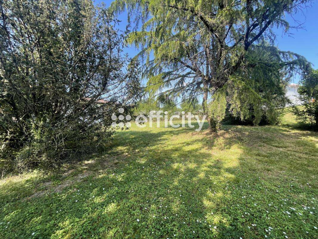 Maison à BLANQUEFORT