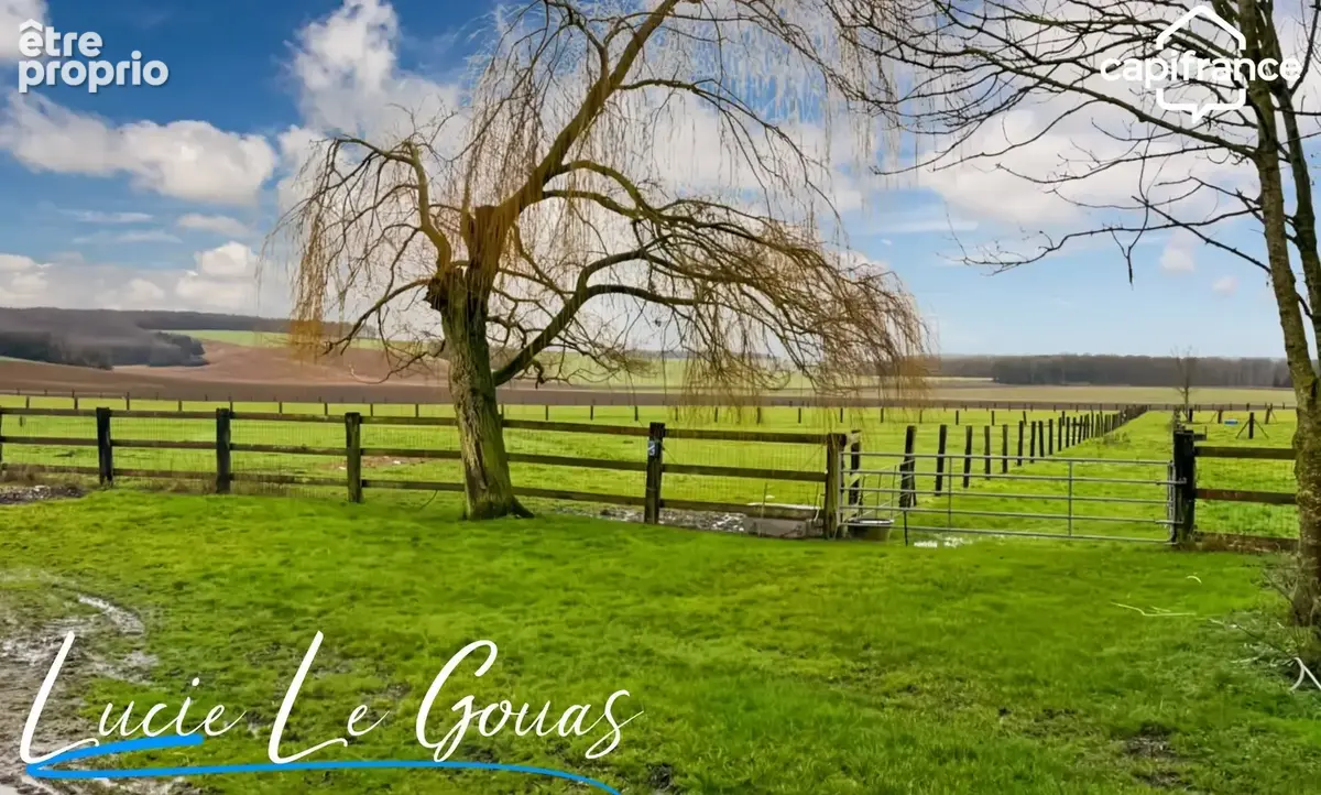 Ferme équestre - photo 24