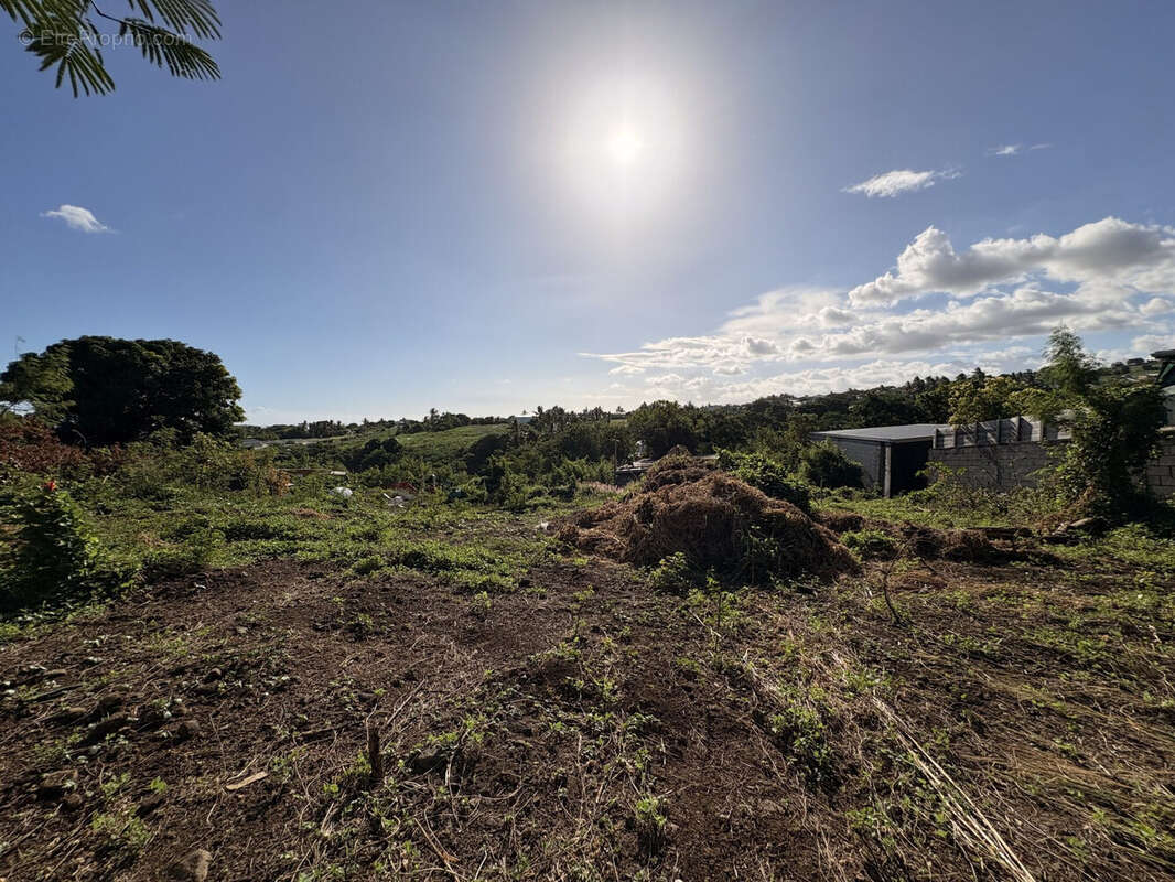Terrain à SAINT-PIERRE