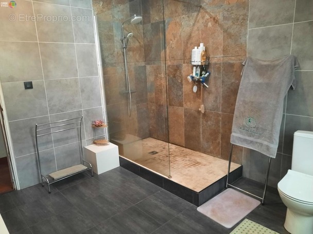 Maison à BRAS-PANON