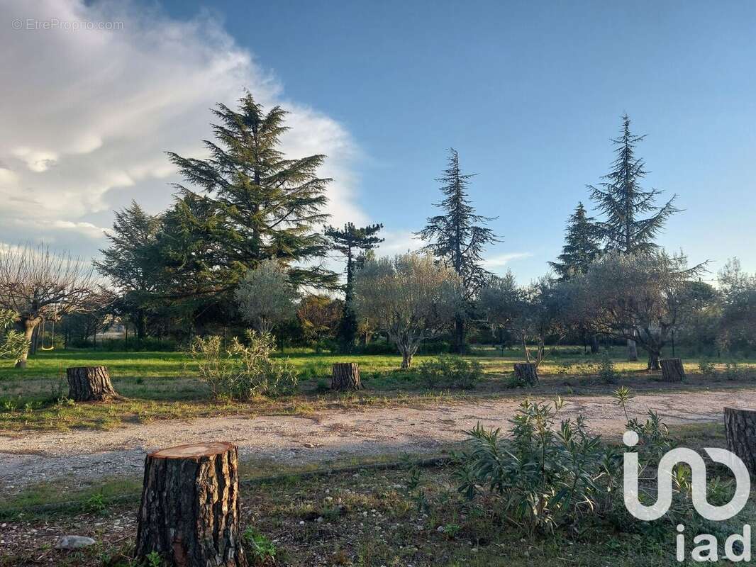 Photo 4 - Terrain à CARPENTRAS