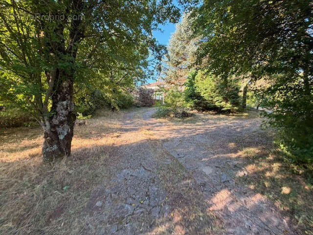 5 848 m2 constructibles-une grande maison- PLATEAU DU LARZAC : 1h de Montpellier - photo 25