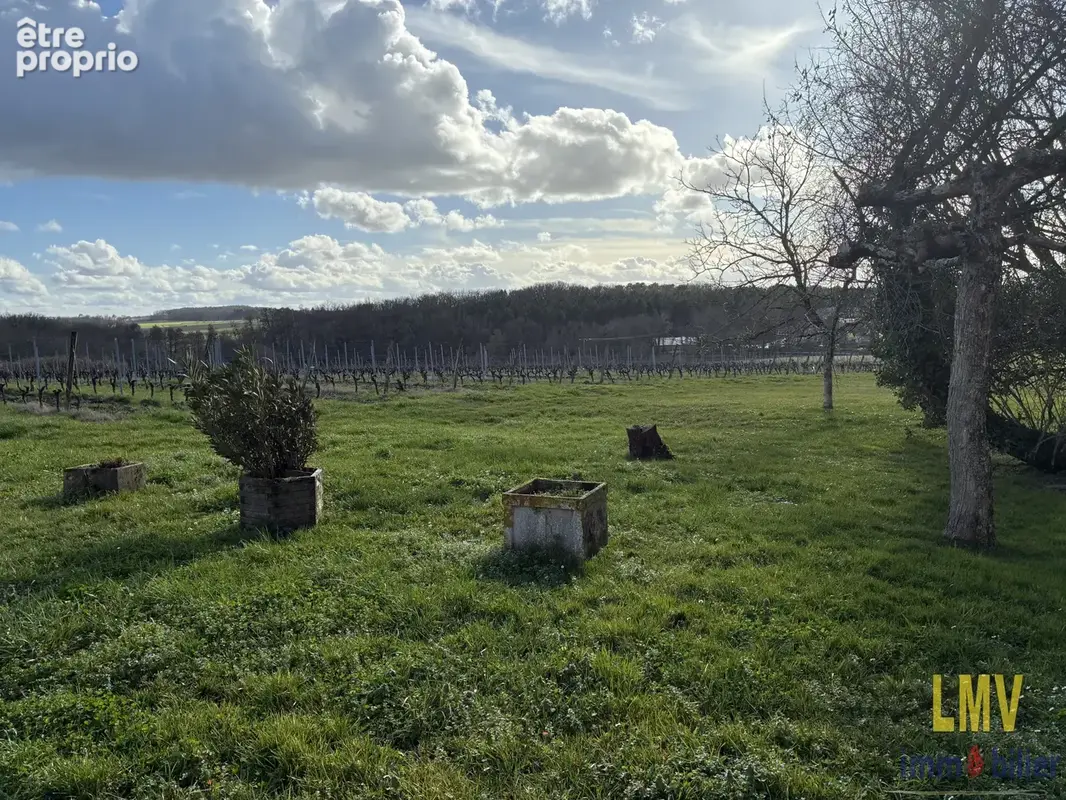 Propriété - photo 3
