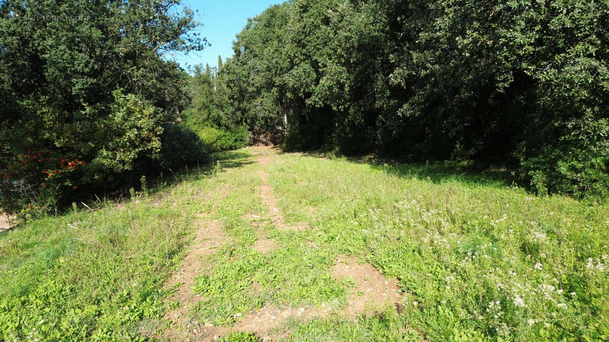 Terrain à PUECHABON