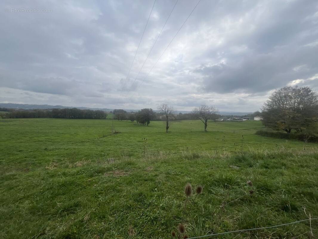 Terrain à CRANDELLES