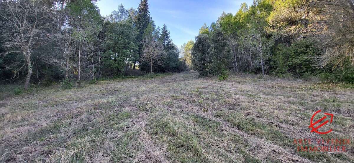 Terrain à CARCASSONNE