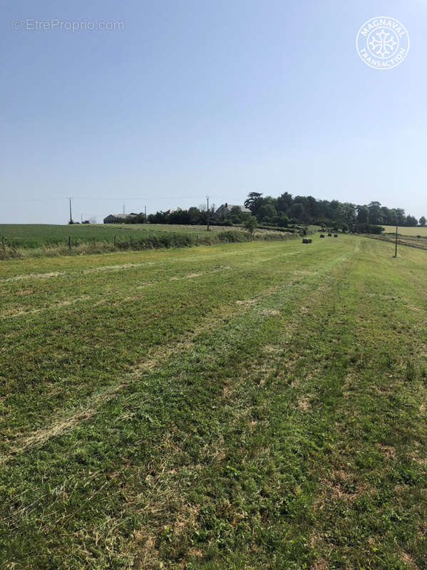 Domaine de caractère   projet gîtes & agritourisme   40 ha - photo 18