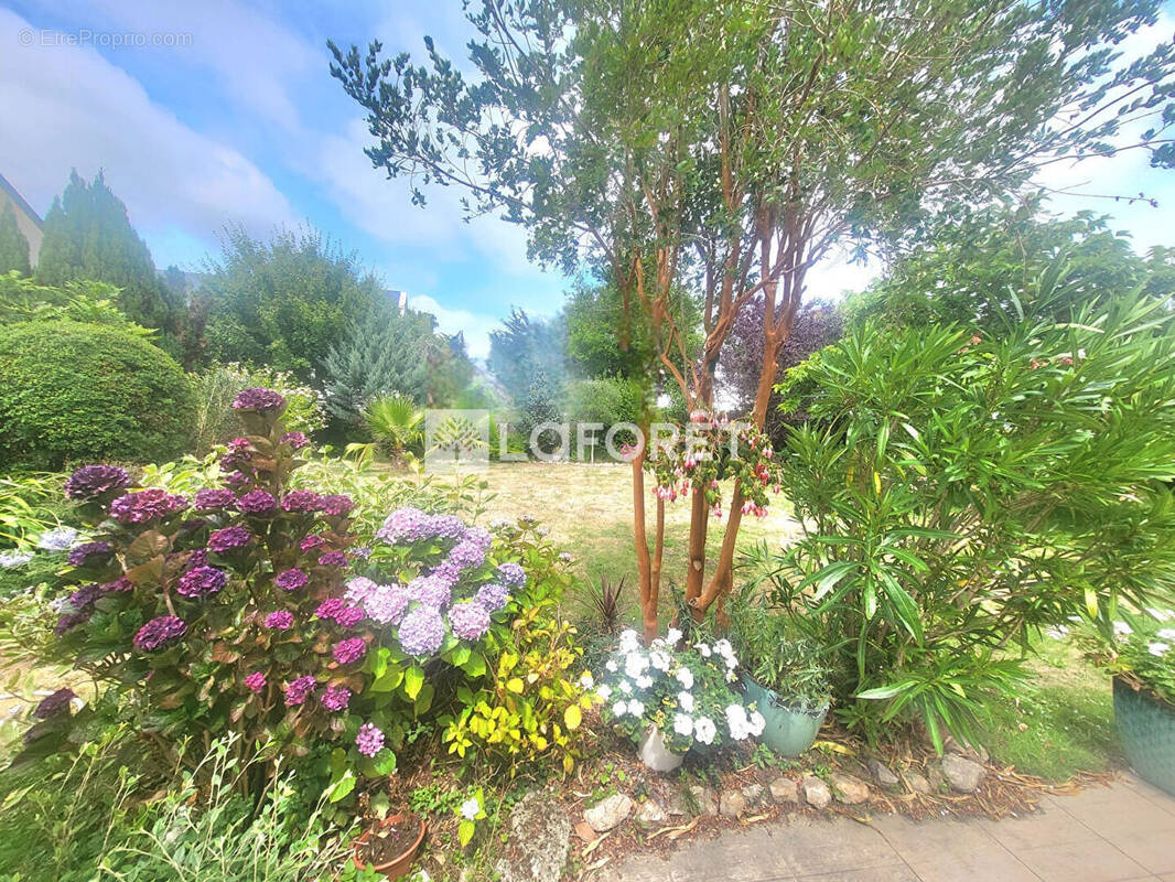 Maison à SAINT-ANDRE-DES-EAUX