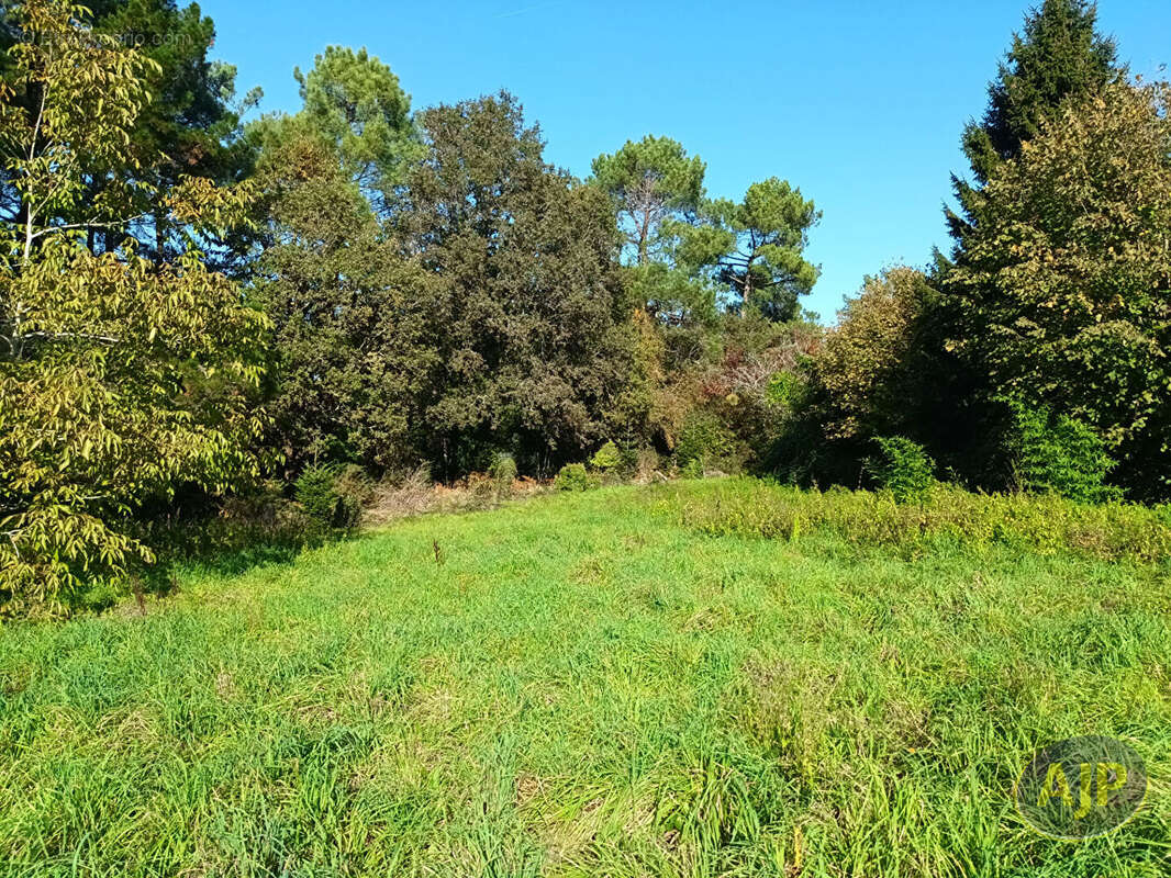 Terrain à QUESTEMBERT