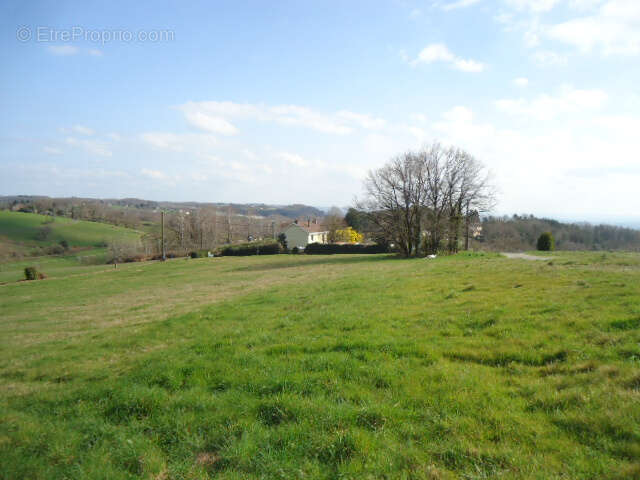 Grande parcelle à bâtir avec belles vues - photo 6