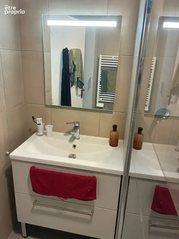 A vendre appartement - 2 pieces - balcon sur jardin - lyon 7 - photo 6