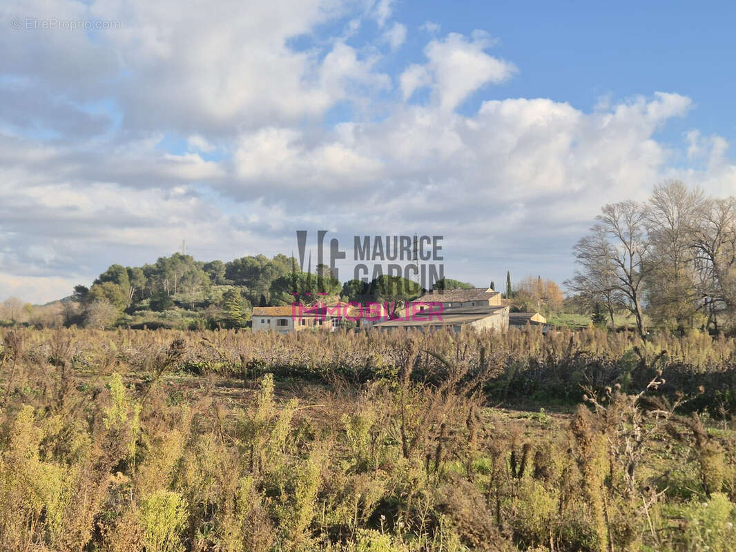 VUE DE DERRIERE - Maison à MENERBES
