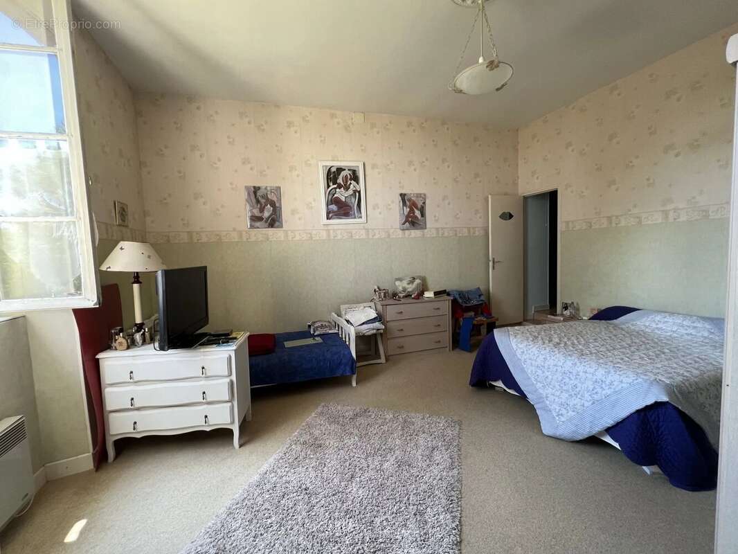 Maison de Maître des années 1800 T7 de 285m2 habitables avec dépendances et jardin - photo 8