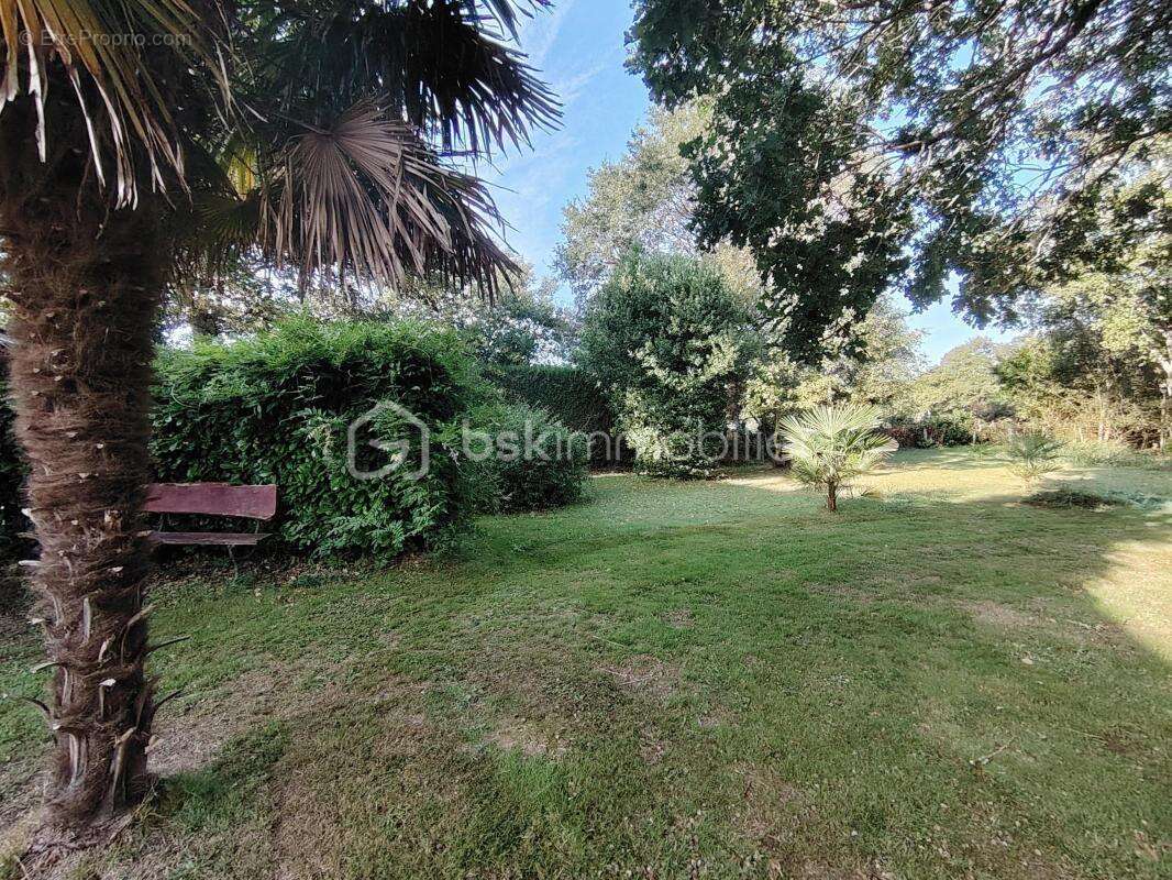 Maison à SAINT-LYPHARD