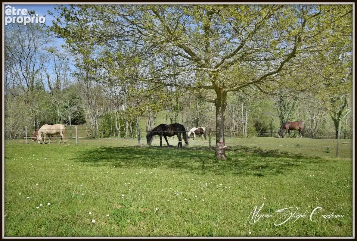 Dpt Landes (40), à vendre CAPBRETON Propriété de charme au calme - photo 2
