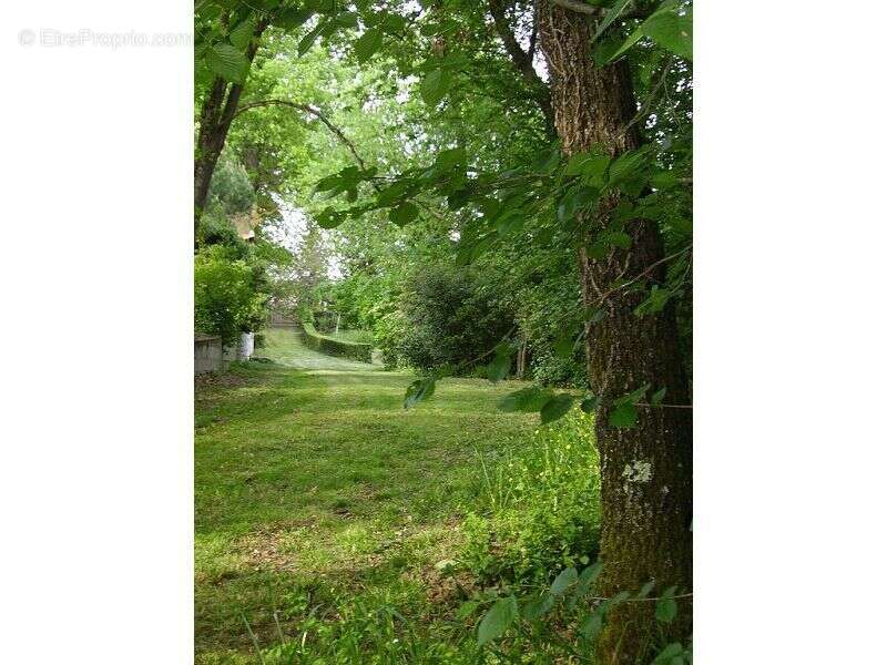 Terrain à BRUGUIERES
