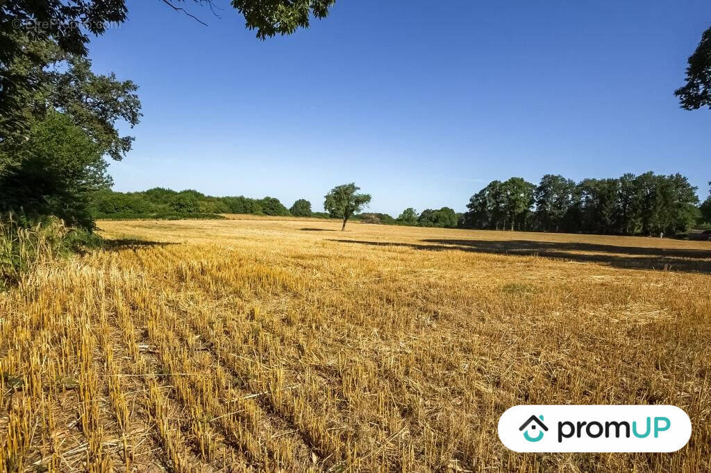 Terrain à SAINT-MAURICE-LA-SOUTERRAINE