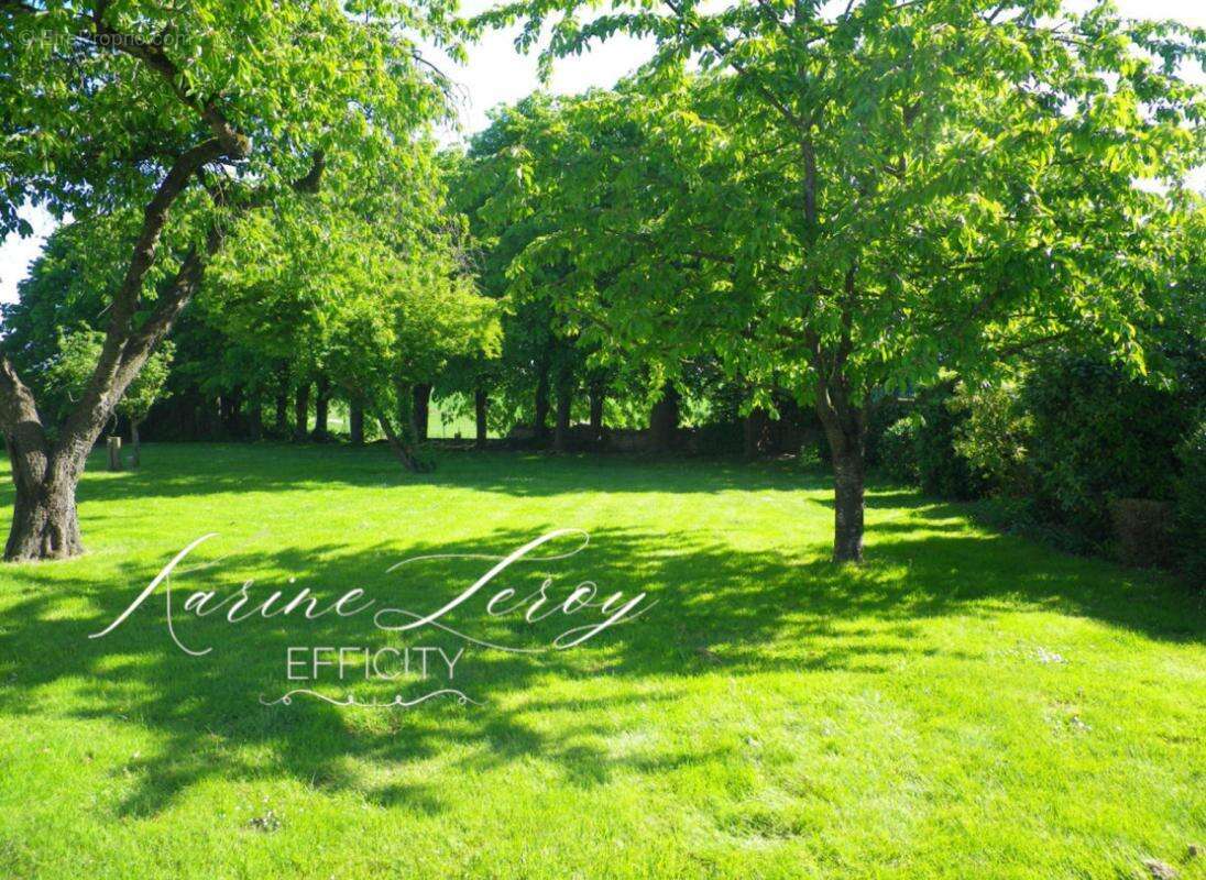 Maison à MAREIL-EN-FRANCE