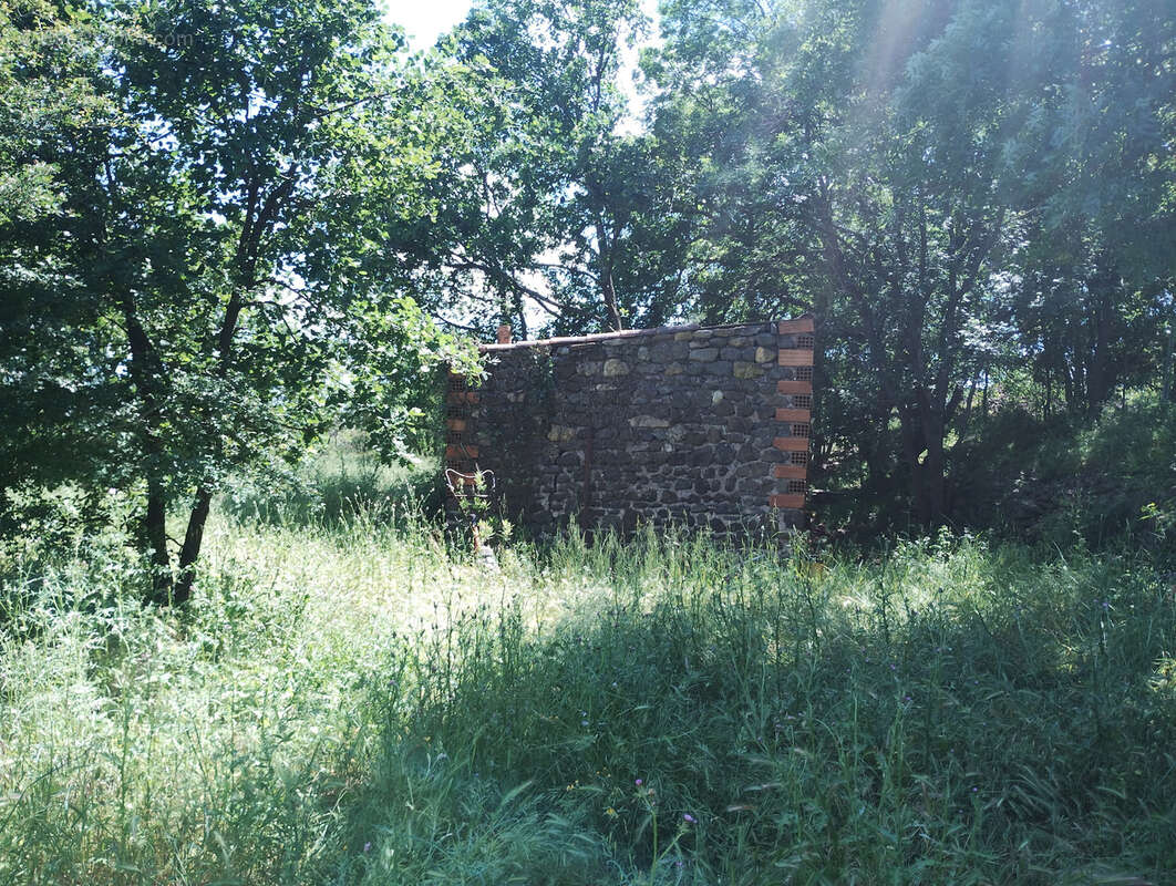 Vends terrain agricole et de loisirs 15 929 m2 - 34800 La Coste - photo 3