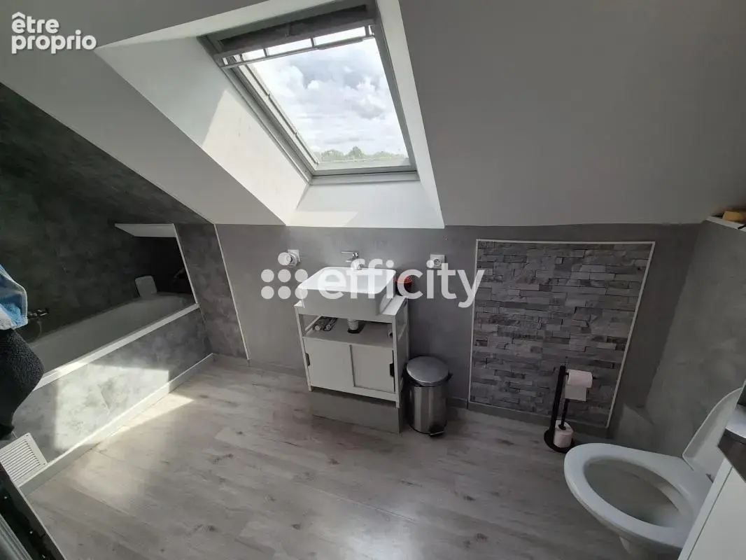 Maison 200 m² à Thevet-Saint-Julien  - photo 19