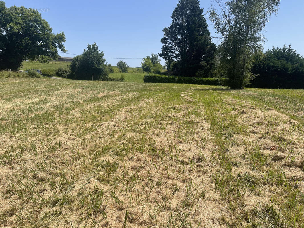 Terrain à SALIES-DE-BEARN