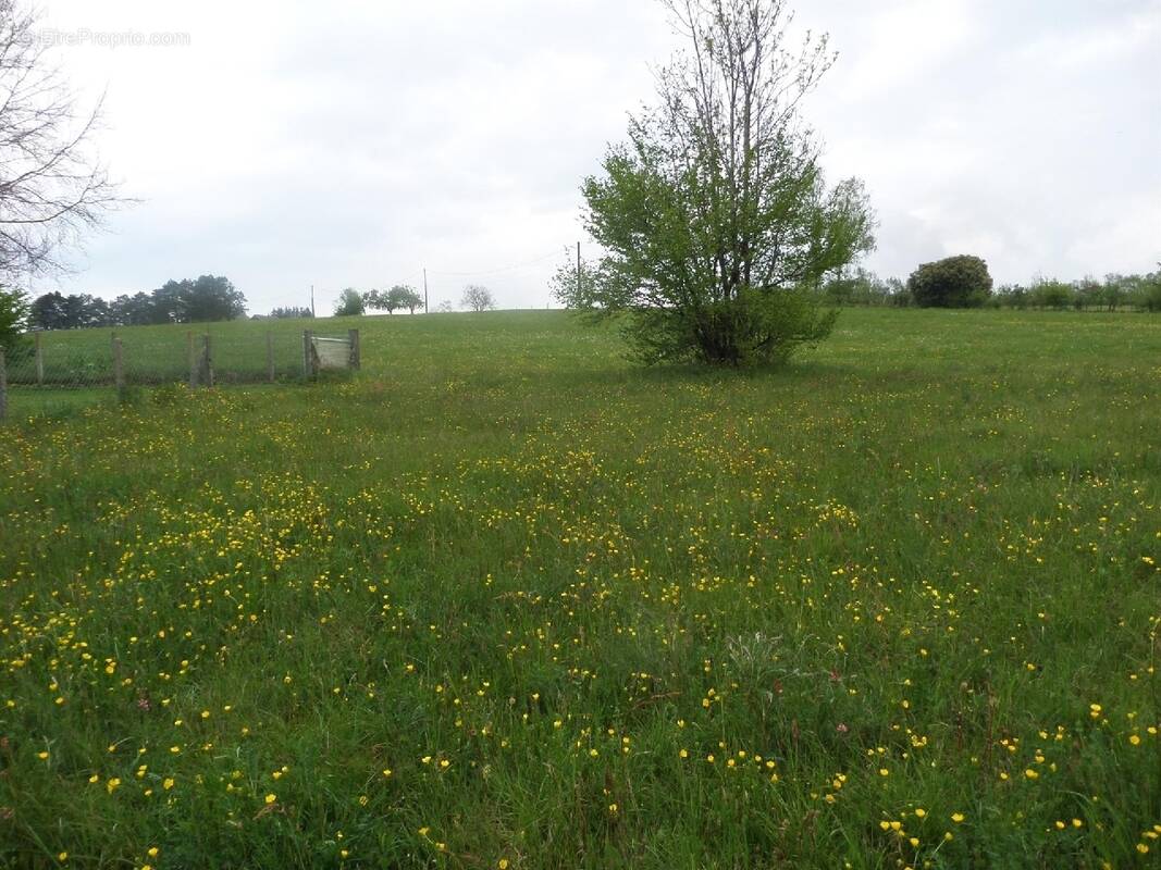 Terrain à HERICOURT