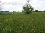 Terrain à HERICOURT