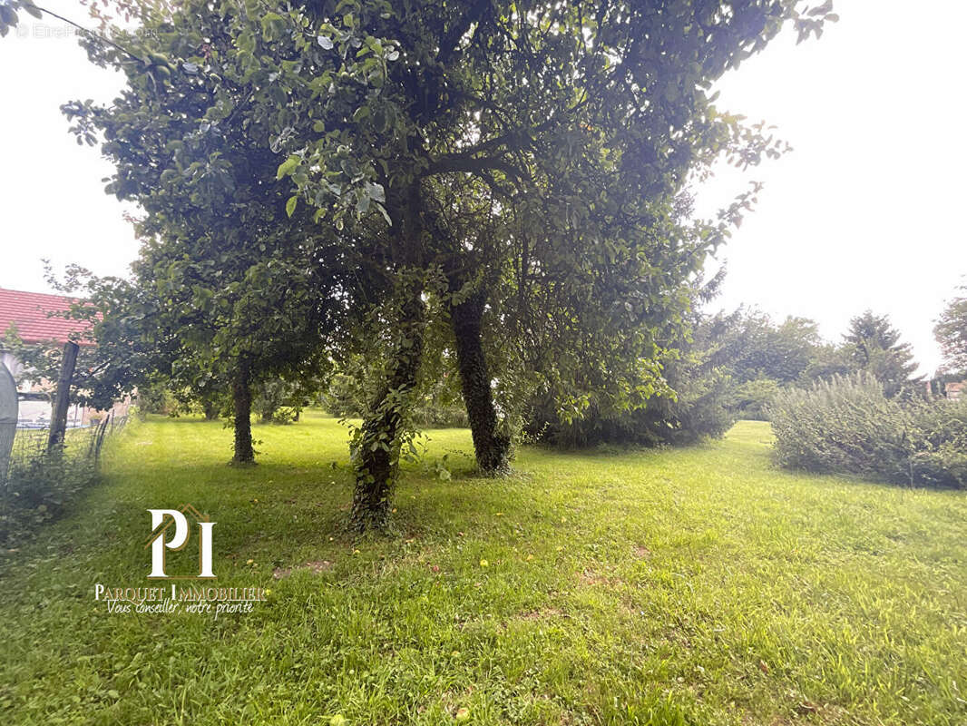 Terrain constructible à 5 km d'Albert ! - photo 2