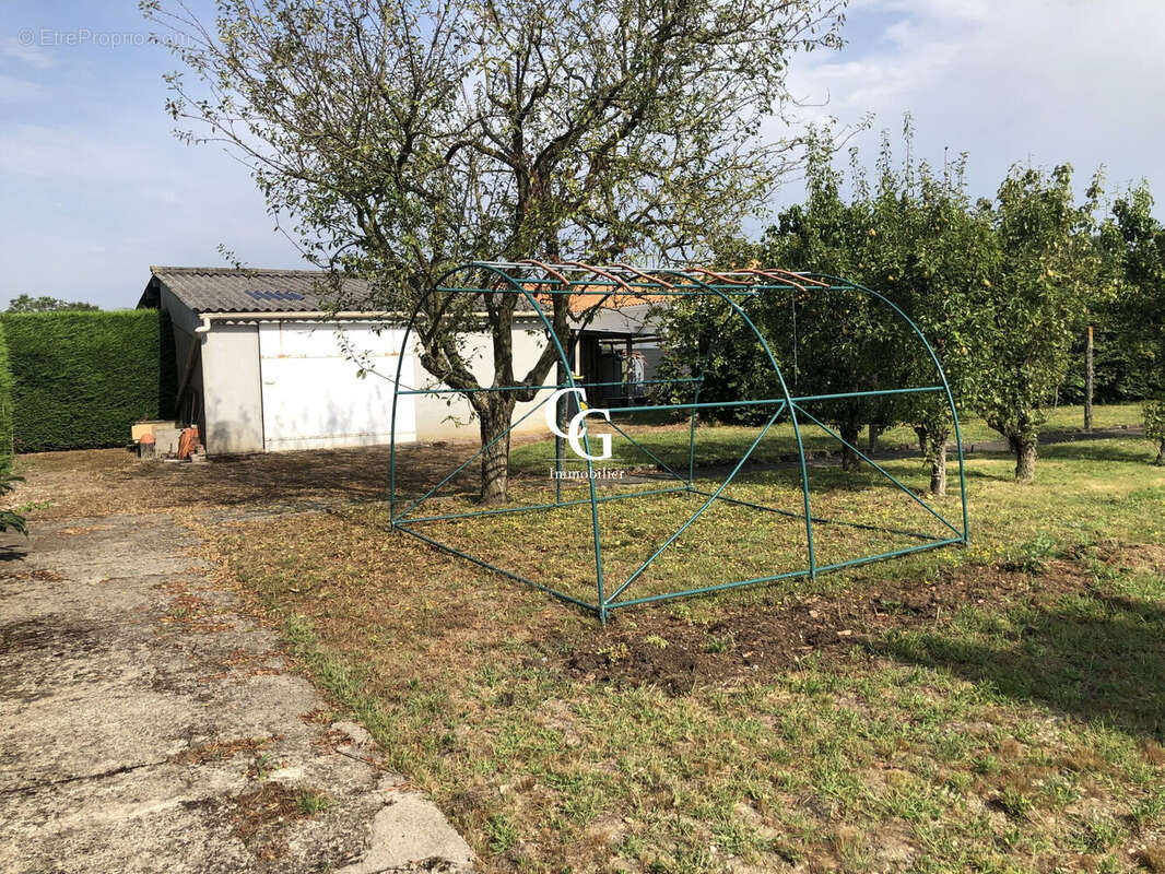 Terrain à VIEILLEVIGNE