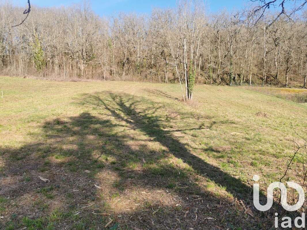 Photo 4 - Terrain à CAZALS