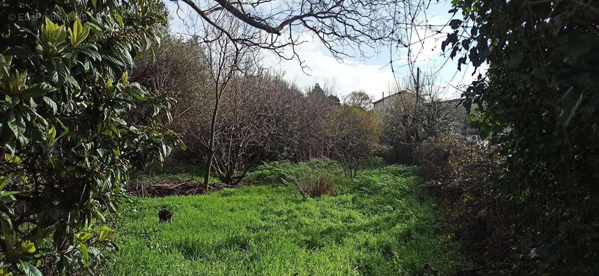 Terrain à MARSEILLE-13E