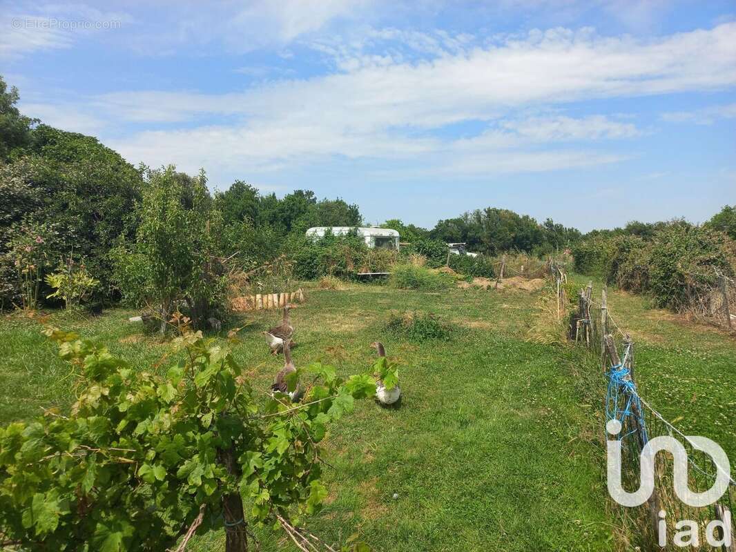 Photo 4 - Maison à LE CHATEAU-D'OLERON