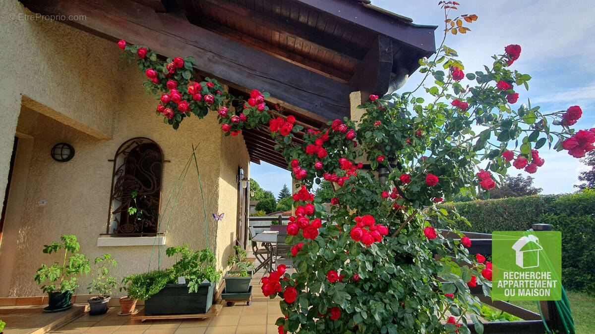 Maison à SAINT-ROMAIN-DE-JALIONAS