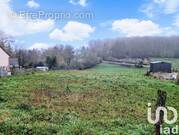 Photo 1 - Terrain à LHERAULE