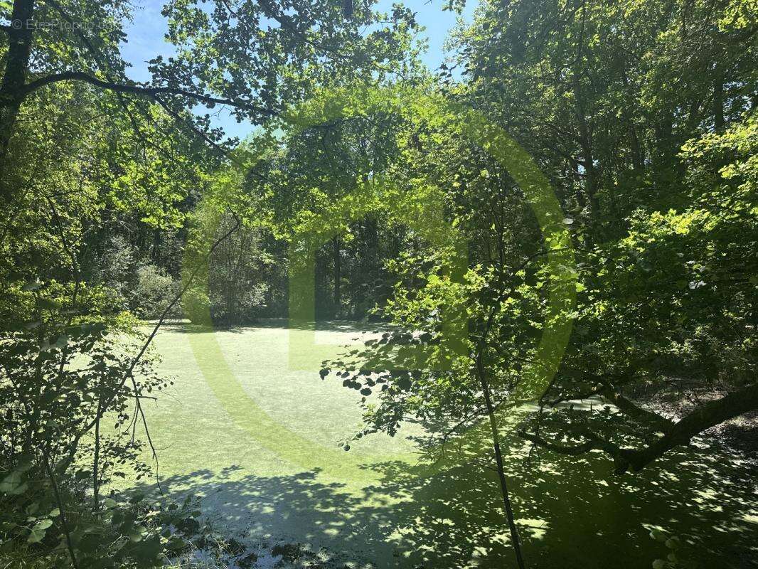 Maison à LA FERTE-SAINT-AUBIN