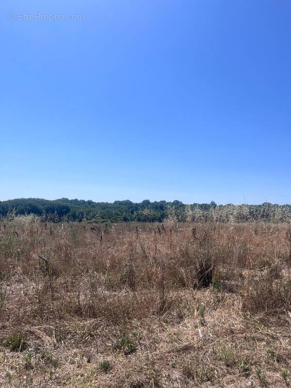Terrain à SAINT-AUGUSTIN