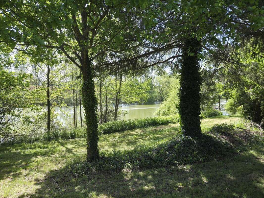 Terrain à LOIGNE-SUR-MAYENNE