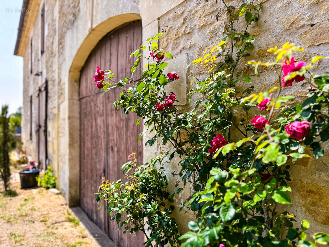 Maison à SAINT-ANDRE-DE-LIDON