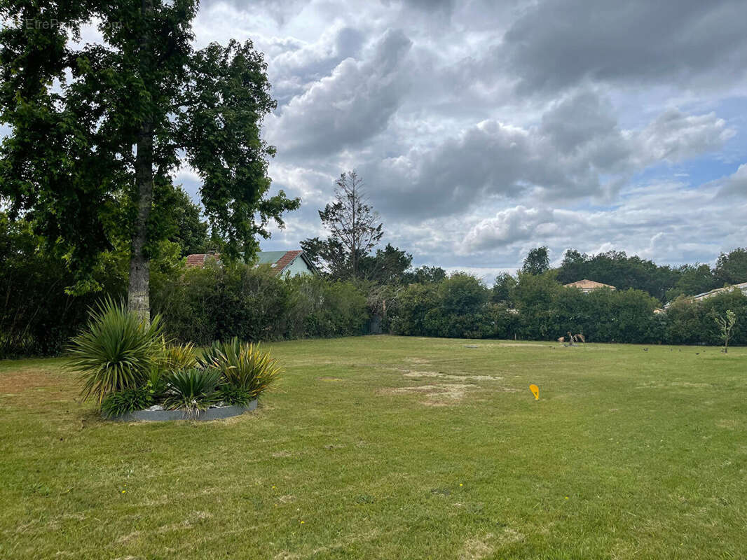 Terrain à PARENTIS-EN-BORN