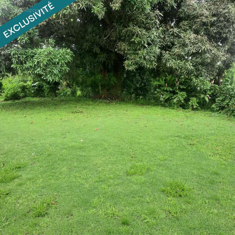 Photo 3 - Terrain à LE ROBERT