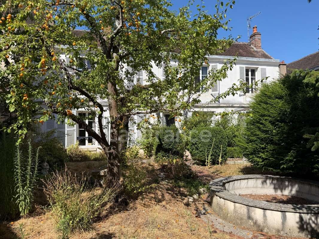 Maison à vendre 7 pièces AUXERRE (89)   Propriété de caractère de 165 m2   4 chambres   Garage   Caves    Terrain - photo 6
