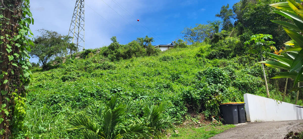 Terrain à LES ABYMES