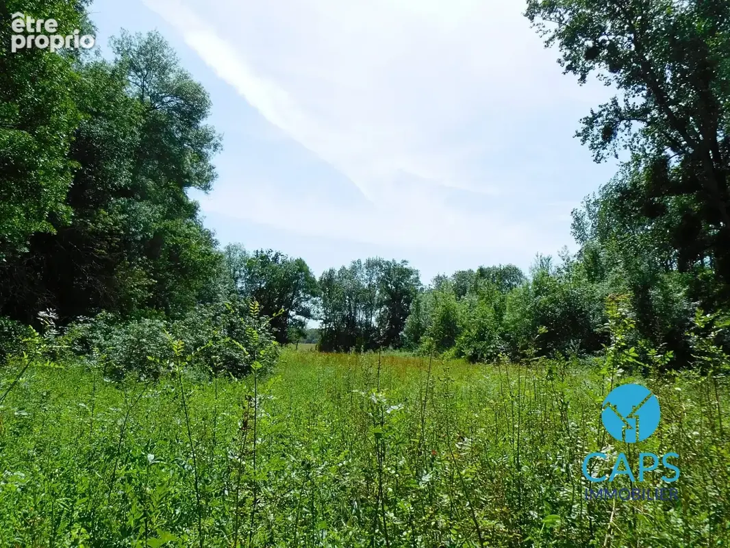 Terrain 5 590 m² à vendre à Reparsac (16200) - photo 4
