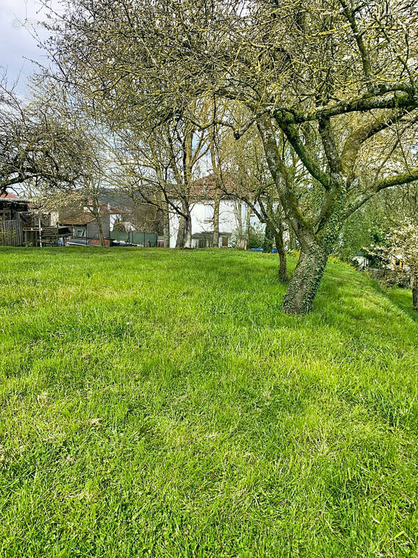 Maison à DOMBASLE-SUR-MEURTHE