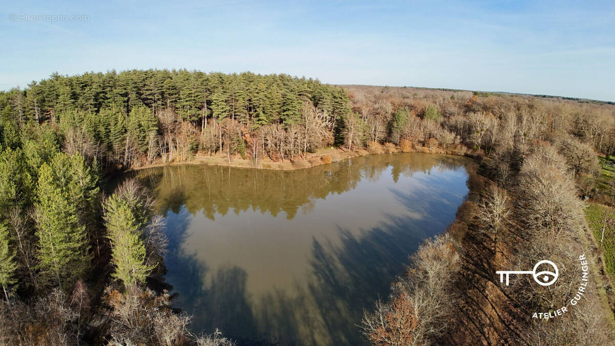 Terrain à NEUNG-SUR-BEUVRON
