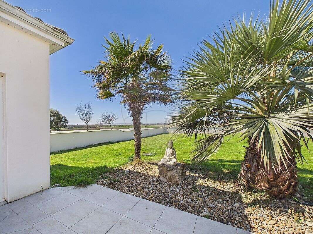Maison à MESCHERS-SUR-GIRONDE